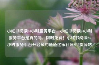 小红书阅读24小时服务平台，小红书阅读24小时服务平台是真的吗，限时免费！小红书阅读24小时服务平台开启预约通道亿乐社区SUP货源站