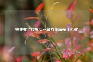 等我有了钱就买一箱方便面是什么歌