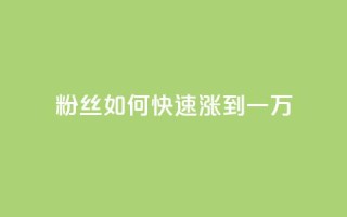 粉丝如何快速涨到一万,空间自助平台业务下单真人 - 自助下单24小时平台ks - 全网发卡网大全