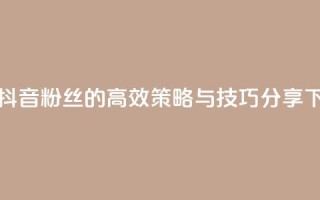 提升抖音粉丝的高效策略与技巧分享