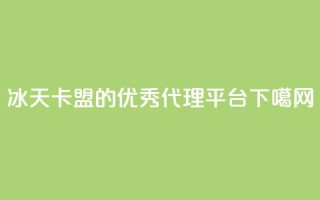 冰天卡盟的优秀代理平台