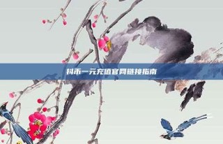 抖币一元充值官网链接指南