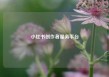 小红书创作者服务平台