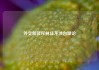 外交部驳斥林佳龙涉台谬论
