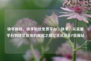 快手粉丝，快手粉丝免费平台，快手，从流量平台到社交新宠的崛起之路亿乐社区SUP货源站