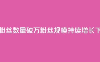 快手粉丝数量破万，粉丝规模持续增长