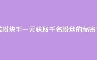 一块钱1000粉块手(一元获取千名粉丝的秘密)