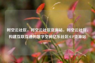 时空云社区，时空云社区货源站，时空云社区，构建互联互通的数字空间亿乐社区SUP货源站