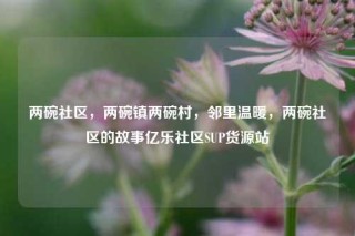 两碗社区，两碗镇两碗村，邻里温暖，两碗社区的故事亿乐社区SUP货源站