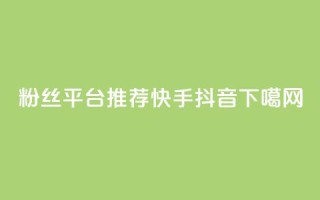 粉丝平台推荐：快手 &amp; 抖音