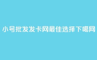 小号批发发卡网VX：最佳选择