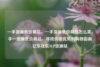 一手货源低价商品，一手货源低价商品怎么卖，手一货源低价商品，寻找价格优势的购物指南亿乐社区SUP货源站