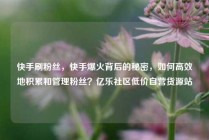 快手刷粉丝，快手爆火背后的秘密，如何高效地积累和管理粉丝？亿乐社区低价自营货源站