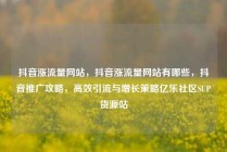 抖音涨流量网站，抖音涨流量网站有哪些，抖音推广攻略，高效引流与增长策略亿乐社区SUP货源站