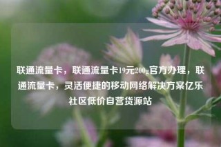 联通流量卡，联通流量卡19元200g官方办理，联通流量卡，灵活便捷的移动网络解决方案亿乐社区低价自营货源站