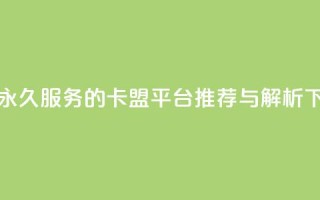 QQ会员永久服务的卡盟平台推荐与解析