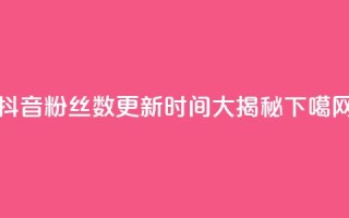 抖音粉丝数更新时间大揭秘