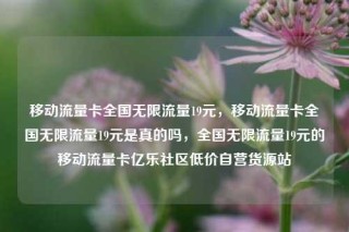 移动流量卡全国无限流量19元，移动流量卡全国无限流量19元是真的吗，全国无限流量19元的移动流量卡亿乐社区低价自营货源站
