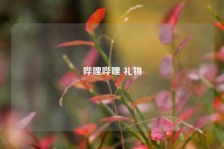 哔哩哔哩 礼物