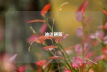 迪迦通贩
