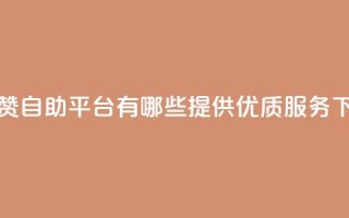 快手赞自助平台有哪些，提供优质服务！