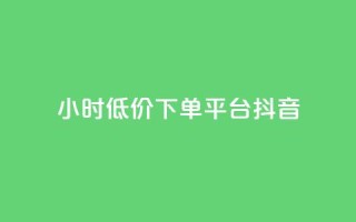 24小时低价下单平台抖音 - 快手业务平台子萧网