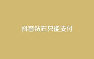 抖音钻石只能apple支付,快手网红免费网站 - dy买号 - 快手打call刷新的网站