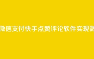 快手点赞评论软件微信支付 -  快手点赞评论软件实现微信支付功能