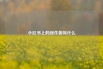 小红书上的创作者叫什么