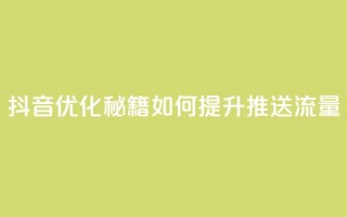 抖音优化秘籍：如何提升推送流量