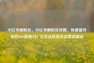 小红书刷粉丝，小红书刷粉丝攻略，快速提升你的KOL影响力！亿乐社区低价自营货源站