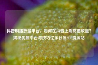 抖音刷播放量平台，如何在抖音上刷高播放量？揭秘优质平台与技巧亿乐社区SUP货源站