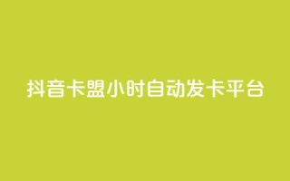 抖音卡盟24小时自动发卡平台,颜夕卡盟 - 全网辅助货源站 - 快手点赞评论软件微信支付