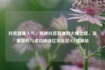 抖音直播人气，揭秘抖音直播的火爆之路，流量密码与成功秘诀亿乐社区SUP货源站