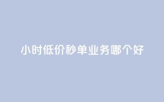 24小时低价秒单业务哪个好 - 24小时低价秒单服务哪家最靠谱！