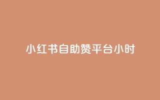 小红书自助赞平台24小时,抖音点赞做兼职联系方式 - 刷粉网站代理怎么做 - 免费刷访客工具推荐