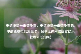 电信流量卡申请免费，电信流量卡申请免费吗，申请免费电信流量卡，畅享无边网络盛宴亿乐社区SUP货源站