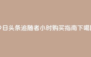 今日头条追随者24小时购买指南