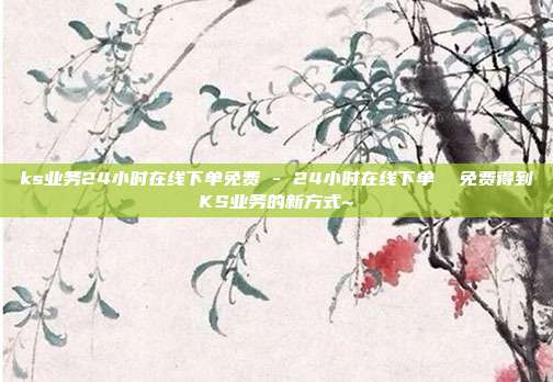 ks业务24小时在线下单免费 - 24小时在线下单  免费得到KS业务的新方式~ 第1张