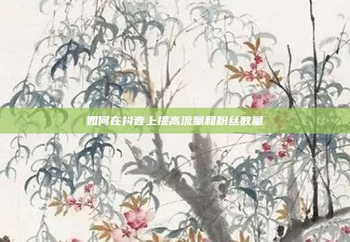 如何在抖音上提高流量和粉丝数量  第1张