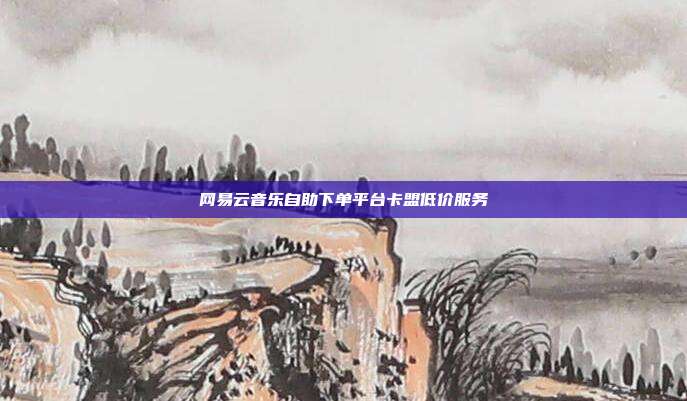 网易云音乐自助下单平台卡盟低价服务  第1张
