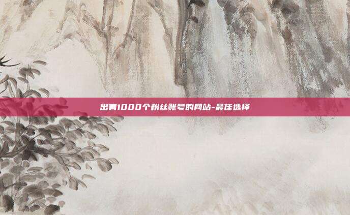 出售1000个粉丝账号的网站-最佳选择  第1张