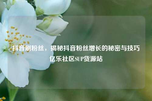 抖音刷粉丝，揭秘抖音粉丝增长的秘密与技巧亿乐社区SUP货源站  第1张