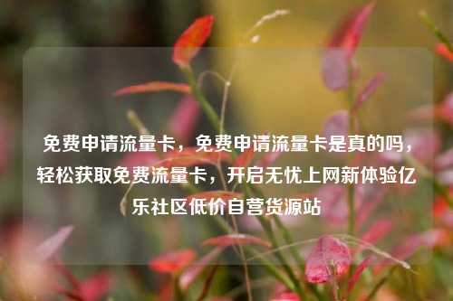 免费申请流量卡	，免费申请流量卡是真的吗，轻松获取免费流量卡，开启无忧上网新体验亿乐社区低价自营货源站  第1张