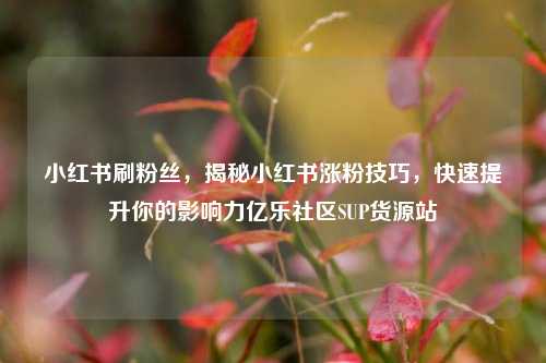 小红书刷粉丝，揭秘小红书涨粉技巧	，快速提升你的影响力亿乐社区SUP货源站  第1张