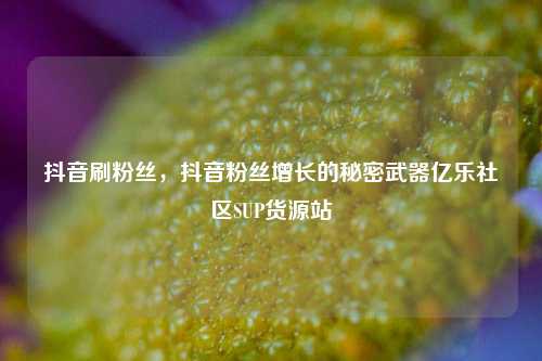 抖音刷粉丝，抖音粉丝增长的秘密武器亿乐社区SUP货源站  第1张