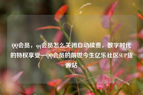 QQ会员，qq会员怎么关闭自动续费，数字时代的特权享受—QQ会员的前世今生亿乐社区SUP货源站  第1张