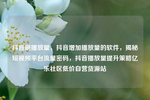 抖音刷播放量，抖音增加播放量的软件，揭秘短视频平台流量密码	，抖音播放量提升策略亿乐社区低价自营货源站  第1张