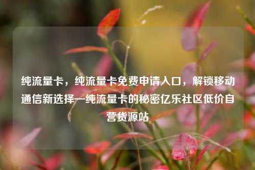 纯流量卡	，纯流量卡免费申请入口，解锁移动通信新选择—纯流量卡的秘密亿乐社区低价自营货源站  第1张