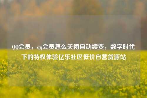 QQ会员，qq会员怎么关闭自动续费，数字时代下的特权体验亿乐社区低价自营货源站  第1张